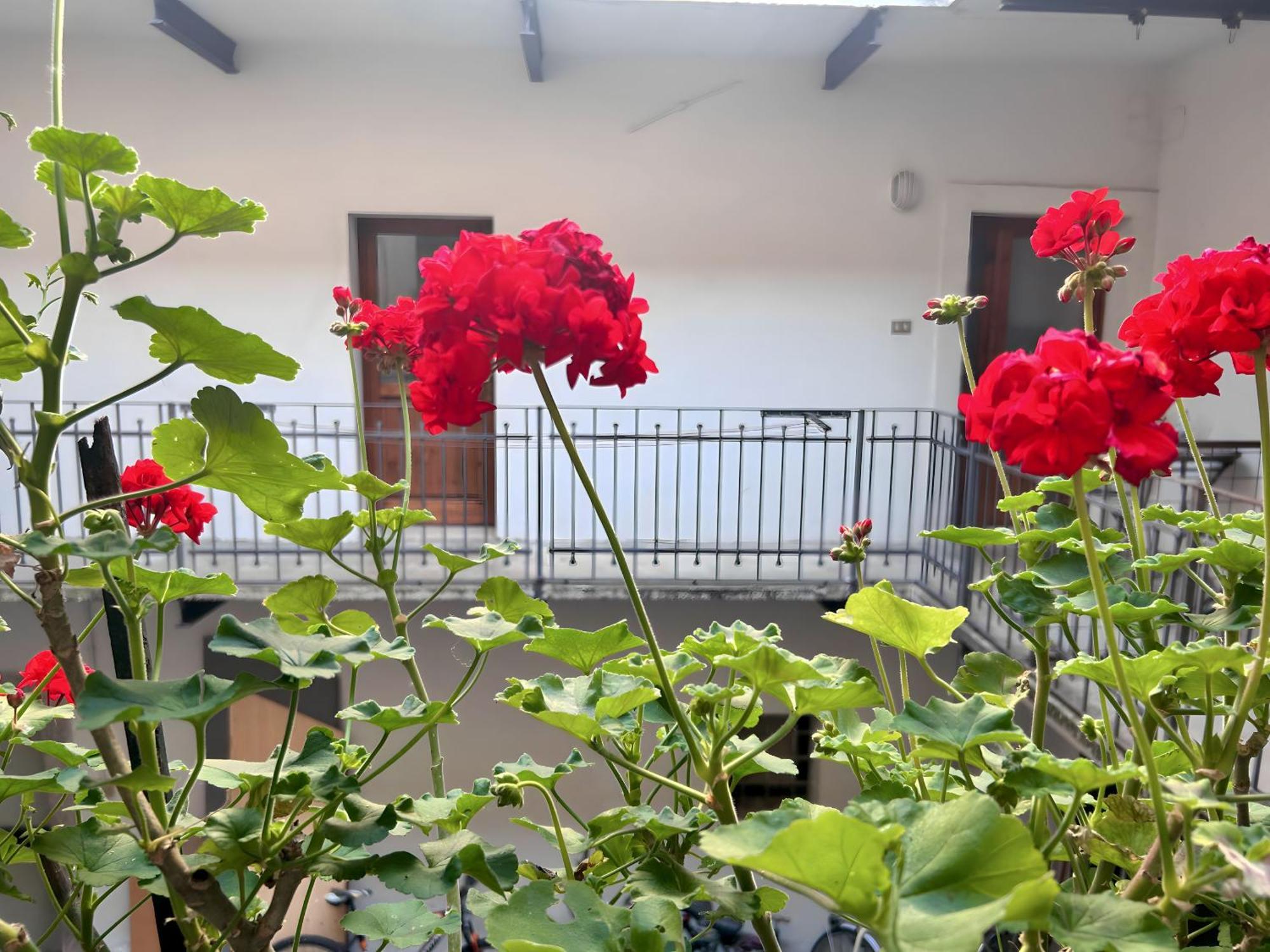 Gorizia Holiday Inn Rastello Suite Exteriör bild